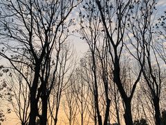 -重庆中央公园(渝北区)