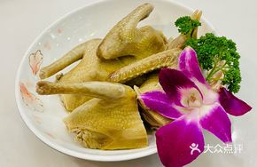 Salted Young Pigeon