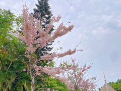 -深圳国际园林花卉博览园