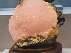 -湖南省地质博物馆