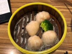 -粤港餐厅(禹州商业广场店)