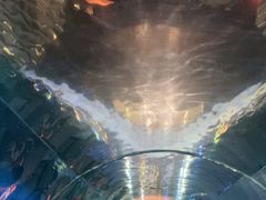 -海棠湾洲际-涛·海底餐厅·美人鱼·自助餐·海底隧道