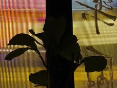 -MEDISN·药厂