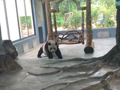 -火烈鸟餐厅
