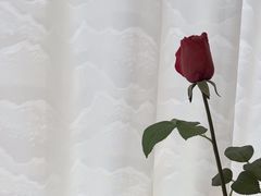 -城北食府(枫林店)