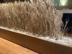 -西村日本料理(香格里拉饭店)
