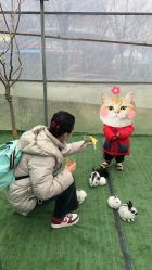 -萌宠亲子动物乐园(槐房万达店)