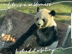 -无锡动物园·太湖欢乐园