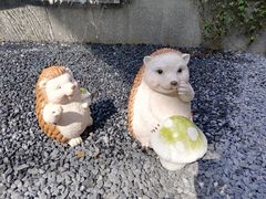 -华山医院-食堂