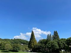 -苏州上方山国家森林公园