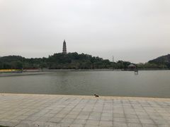-顺峰山公园