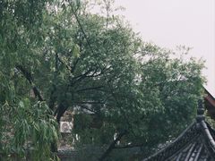 -玉湖村