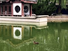 -团结湖公园