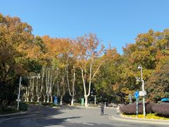 -灵谷景区