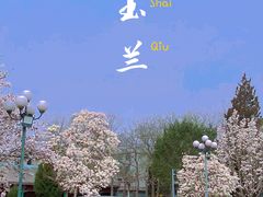 -国家图书馆·古籍馆