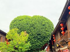 -三坊七巷历史文化街区