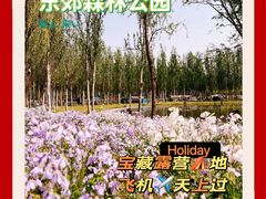 -东郊湿地公园