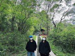 -青龙山国家森林公园