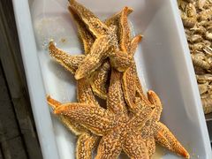 -木柴豆腐·活海鲜·鲁菜