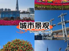 -海心沙亚运公园