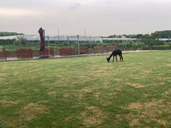 -美家乐农庄·露营·团建(大治路店)