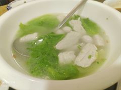-金砂阿洲鱼册店