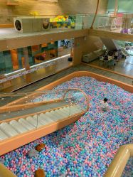 -泡泡米POPOME益智乐园(洪殿花园旗舰店)