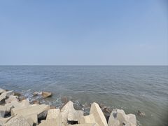 -东堤公园