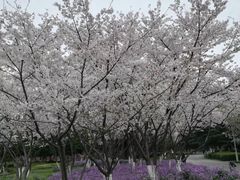 -白塘生态植物园