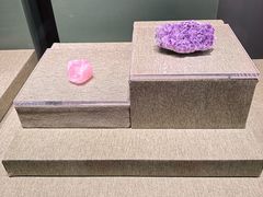 -南越王博物院(王宫展区)