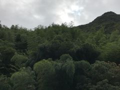 -浙北大峡谷