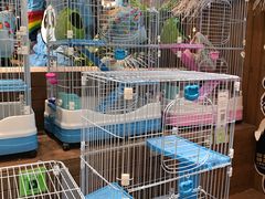 -龟与熊猫宠物公园(南坪店)