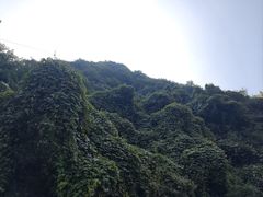 -秦岭风景区