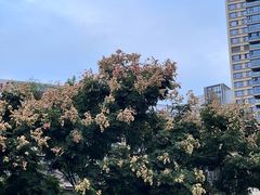 -三毛鱼庄(威连路店)
