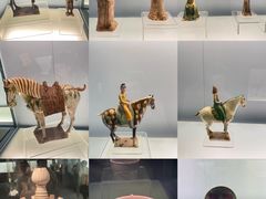 -上海博物馆