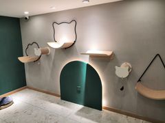 -飞行喵MR PILOT|猫舍·猫咖(静安大融城店)