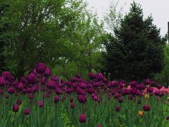 -长春公园(普阳街道)