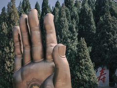 -龙口南山旅游景区
