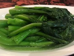 -成都龙之梦大酒店-龙悦中餐厅