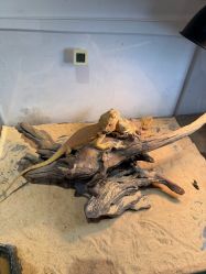 -Zoolung Zoolung动物主题公园(海信广场店)