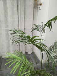 -AM半永久纹眉