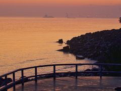 -上海吴淞炮台湾国家湿地公园