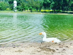 -Club Med地中海俱乐部·桂林度假村