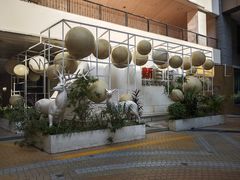 -新白鹿餐厅(松江开元地中海店)