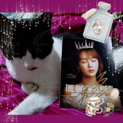 -THE QUEEN(北京店)