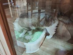 -白兔子密室(长寿路店)