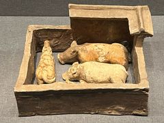 -广西壮族自治区博物馆