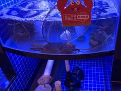-七欣天香辣蟹火锅(闵行浦江欢乐颂店)