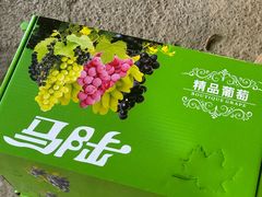 -马陆小张葡萄园农家乐