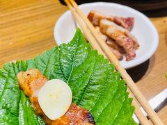 新鲜苏子叶-泥炉烧肉师(新街口金銮巷店)